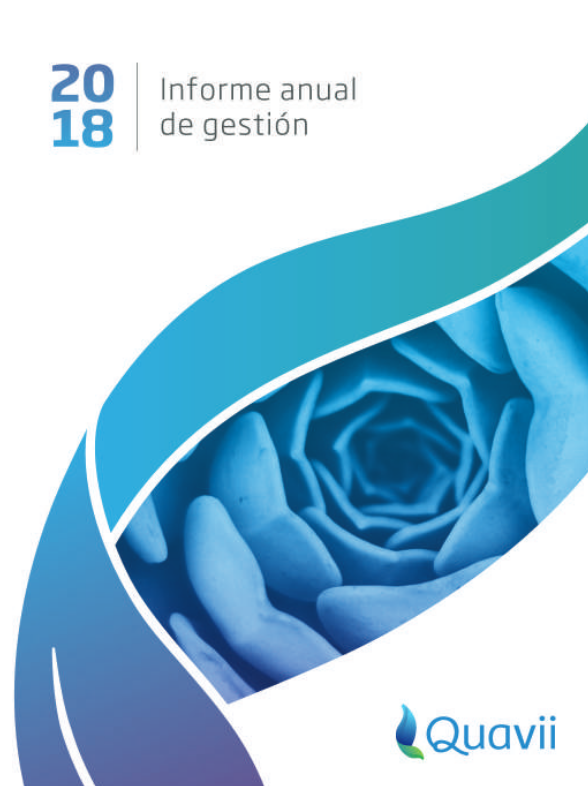 informe_gestion_2018_portada.png